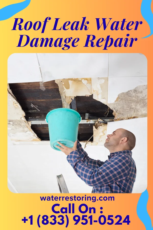 Roof Leak Water Damage Repair in Arthur, ND
